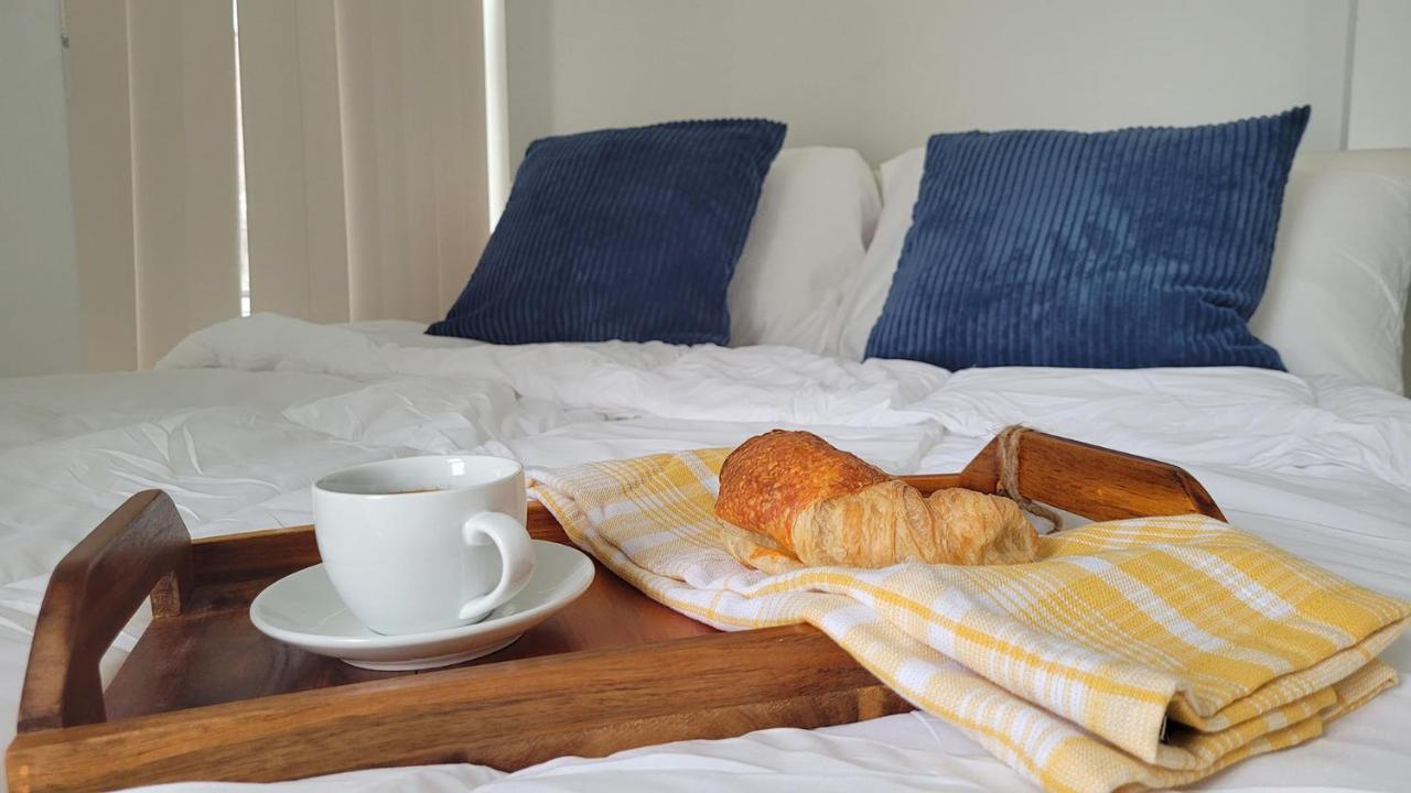 Lovely 3 Bedrooms In University Of טורונטו מראה חיצוני תמונה